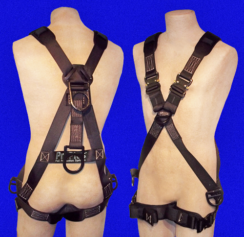 Harness